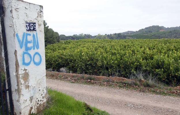 Paraje de Porxinos, en el término de Riba-Roja. / J.J. Monzó