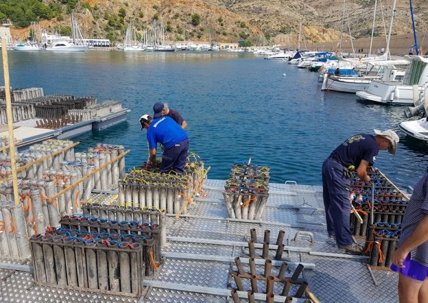 Personal de la empresa pirotécnica prepara el castillo de fuegos artificiales acuático.