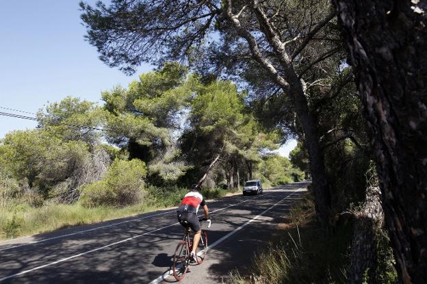 La carretera CV-500, en la imagen, cruza el parque natural. / irene marsilla