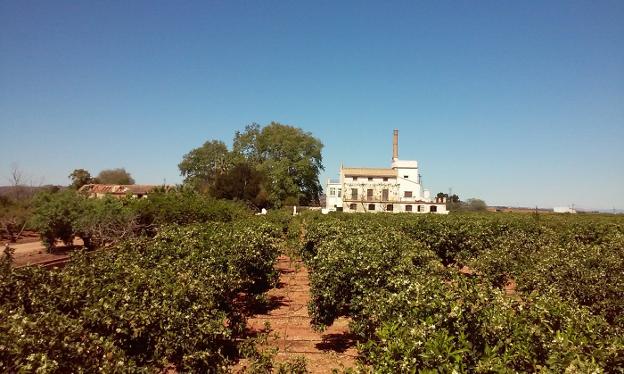 Huerto o torre de Aguilar, uno de los estudiados por Beltran en su libro. / lp
