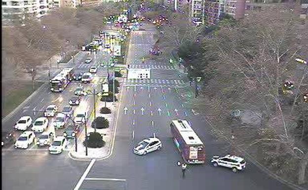 Los bomberos cortan un árbol de 15 metros en Blasco Ibáñez ante el riesgo de caída