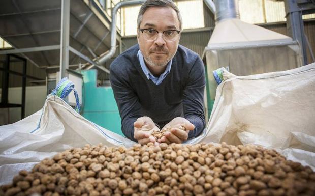 Harina, aceite para costémicos o base para chocolate, nuevos usos de la chufa que triunfan en el mundo