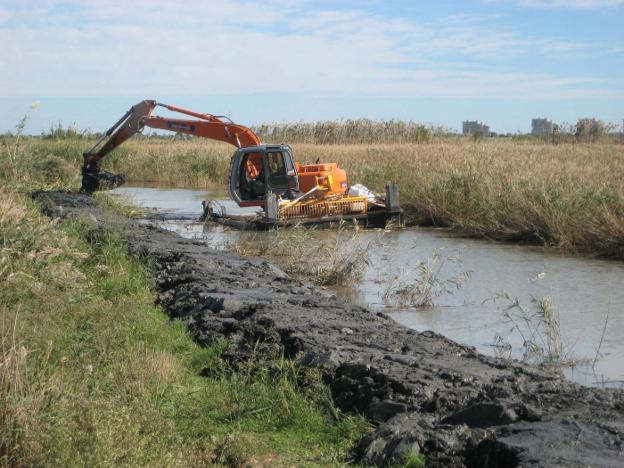 Dragado de un canal en la Albufera, en una imagen de archivo. / lp