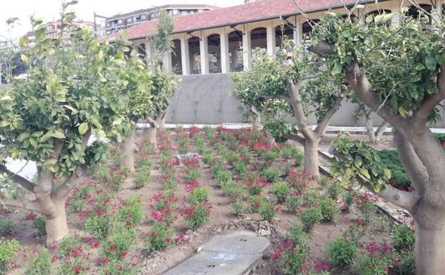 Parque Central./