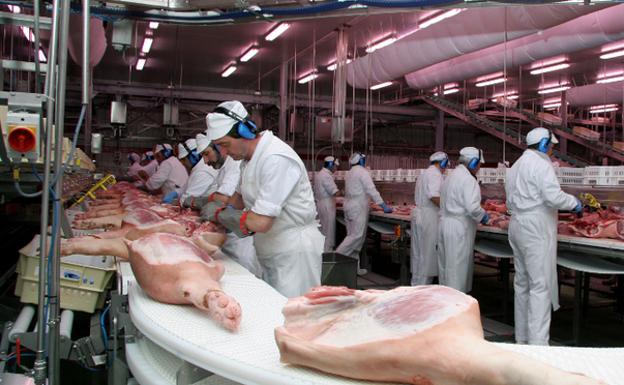 Interior de las instalaciones de la empresa Loriente Piqueras, encargada de abastecer de carne a los establecimientos de Mercadona /DAMIAN TORRES