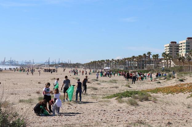 Cientos de voluntarios participan en tareas de limpieza en la playa de Alboraya. / lp