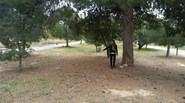 La concejala señala la zona en la que se instalarán estas estructuras. Abajo, una muestra de cómo será este espacio. / lp