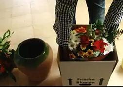 Flores en el garaje