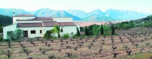 Un chalé rodeado de viñas en el término municipal de Llíber, donde esta semana se ha destapado una compleja trama de corrupción urbanística. ::
ALEX MCCLURE/
