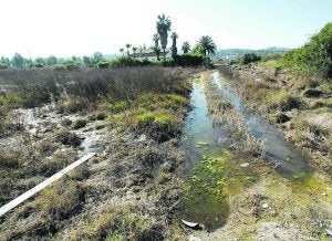Una imagen de la zona del Saladar de Xàbia, muy cerca de la playa del Arenal. :: J. IGLESIAS/