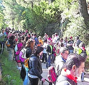Más de 400 personas participaron en la ruta. ::
LP/