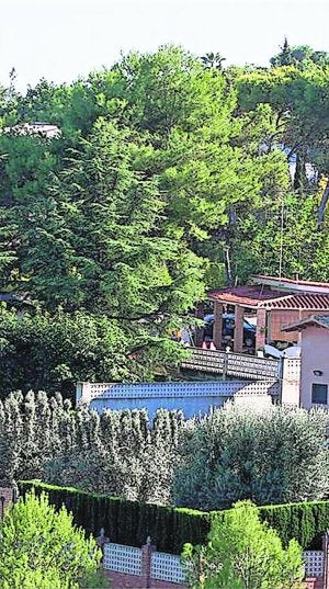 Uno de los paranys ubicados en Vila-real. ::
LP/