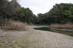 Tierra agrietada en la zona que antes ocupaba el humedal de la Vallesa, ahora prácticamente seco./