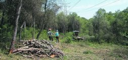 RIBARROJA. Dos de los operarios que han realizado las primeras talas en la Vallesa. LP/