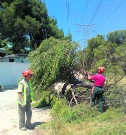 DEBAJO DE LAS LÍNEAS. Dos operarios cortan las ramas de uno de los árboles talados ayer. M. R./
