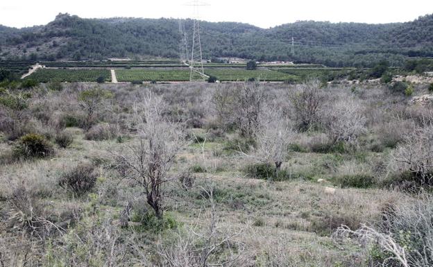 Riba-roja protege la masía incluida en el PAI que proyectó el Valencia CF