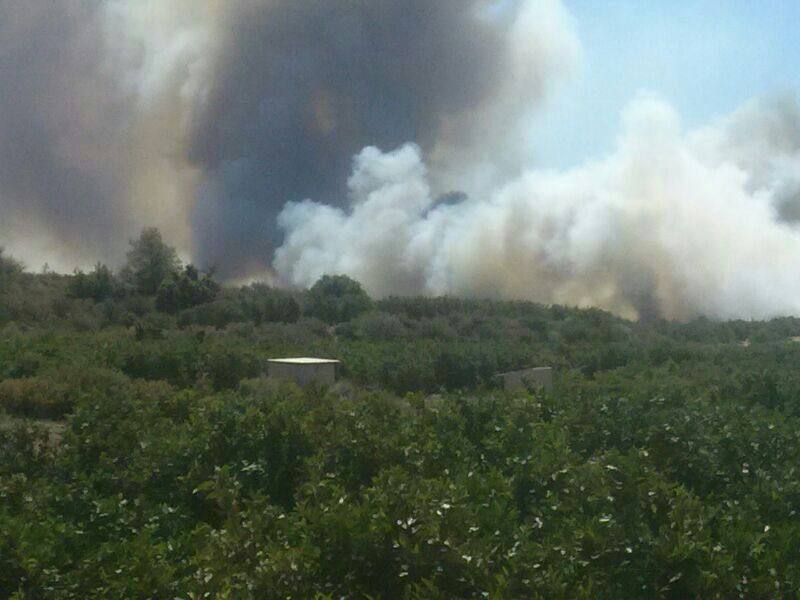 Las imágenes del incendio de Pedralba