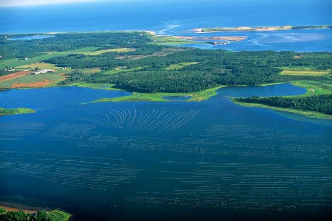 Las islas de los famosos