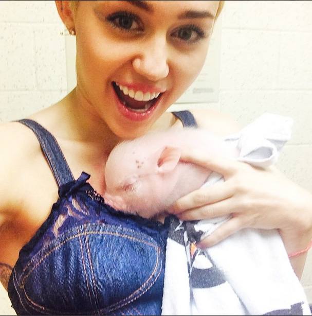 Bubba Sue, la cerdita de Miley Cyrus