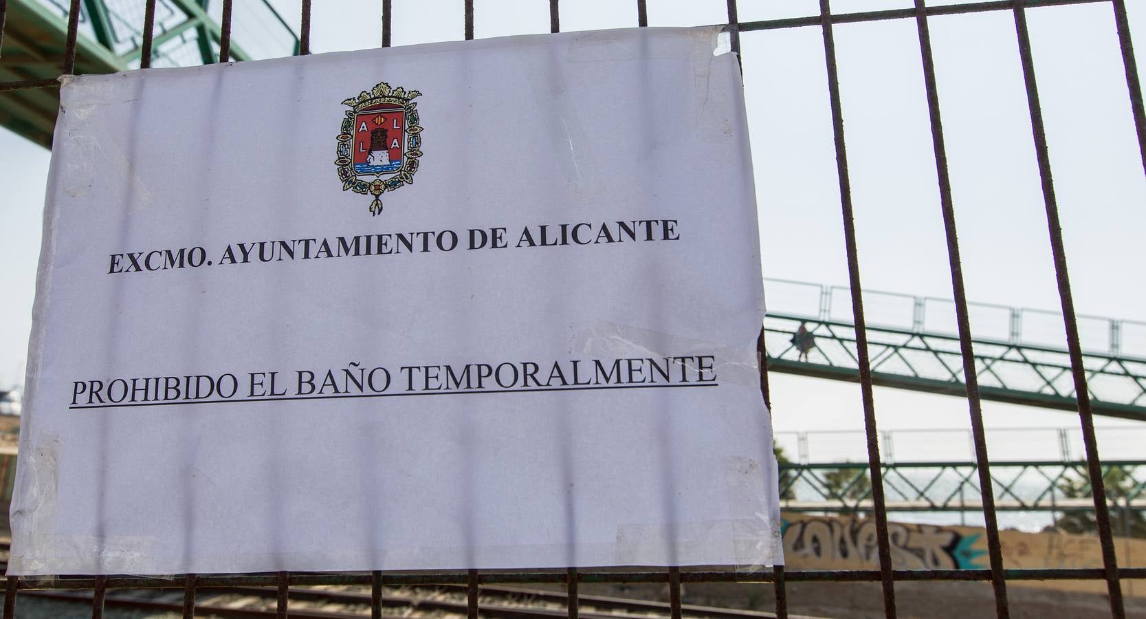 Cierran la playa de San Gabriel tras aparecer centenares de peces muertos