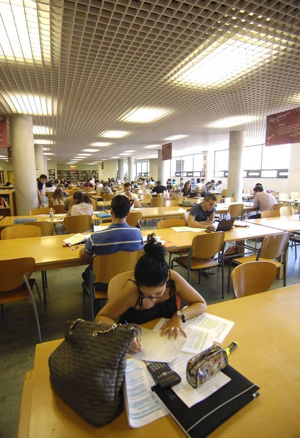 Los estudiantes de la UMH, en septiembre