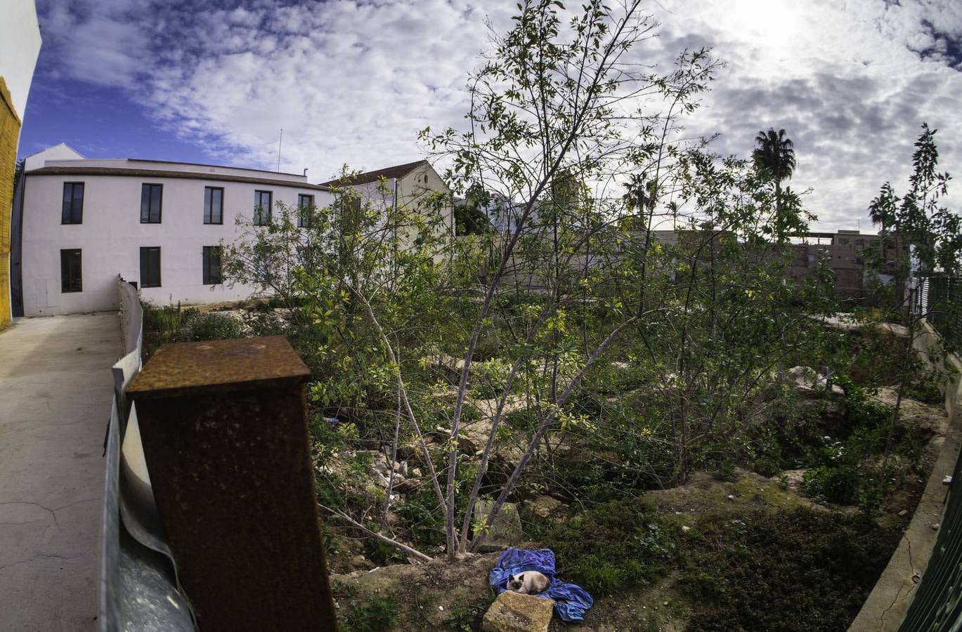 Aprueban construir el centro de salud de Orihuela con fondos autómicos