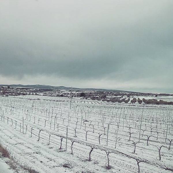 Nieva en la Comunitat