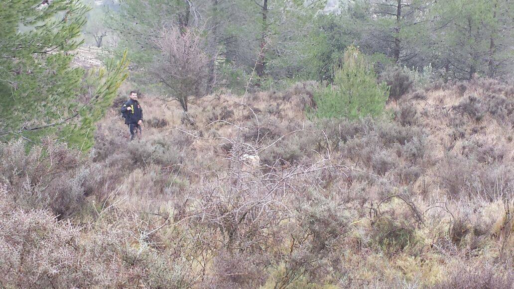 Dispositivo de búsqueda del desaparecido en Muro de Alcoy