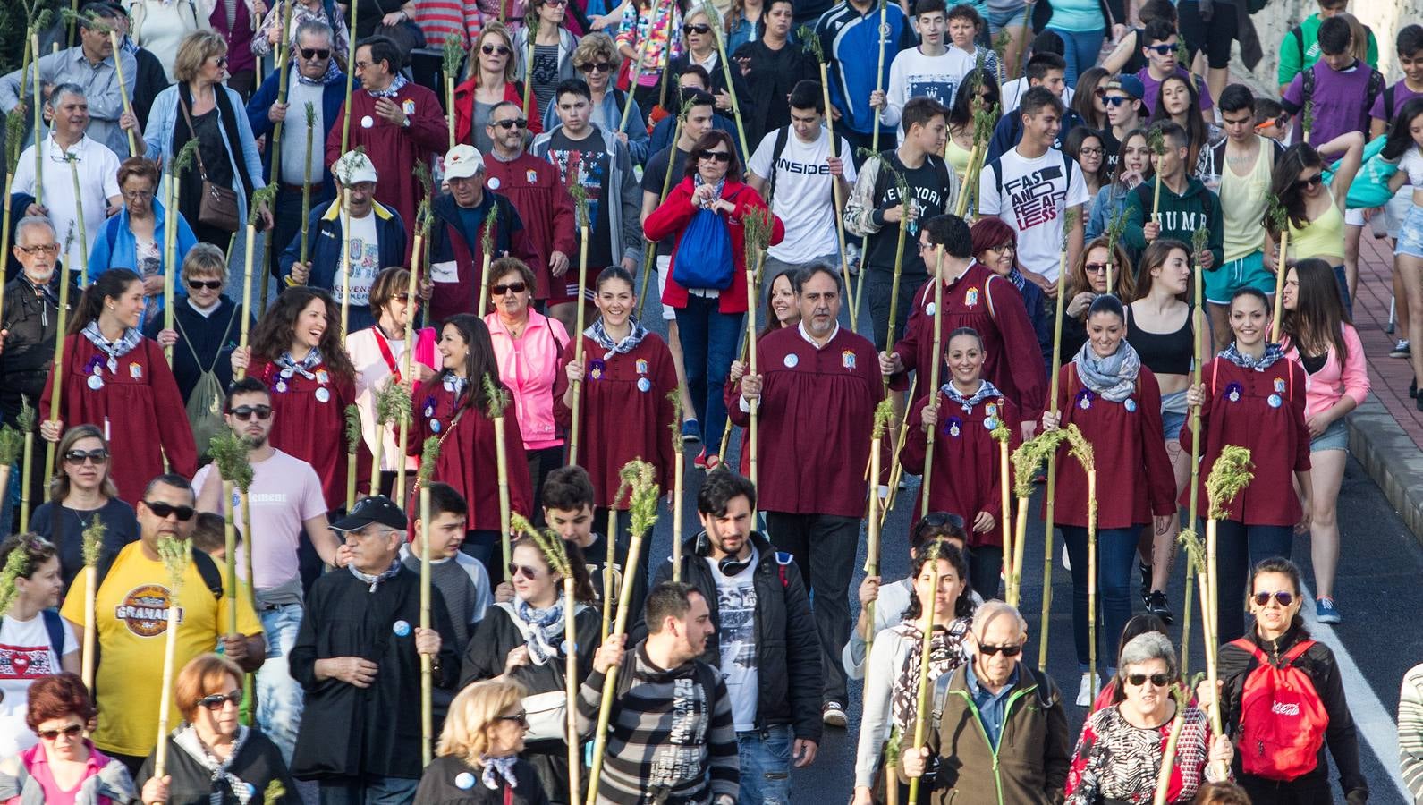 Romería de la Santa Faz (I)