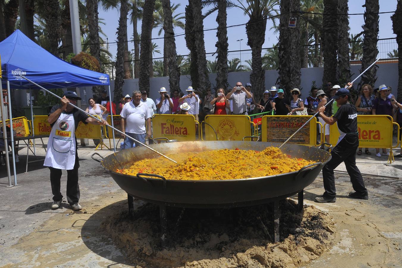 Actividades diurnas de las Fiestas d'Elx