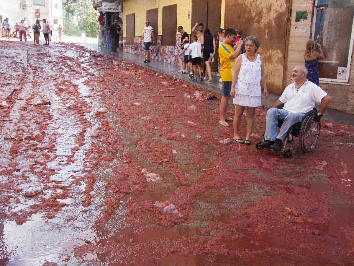 Tomatina 2015 (III)