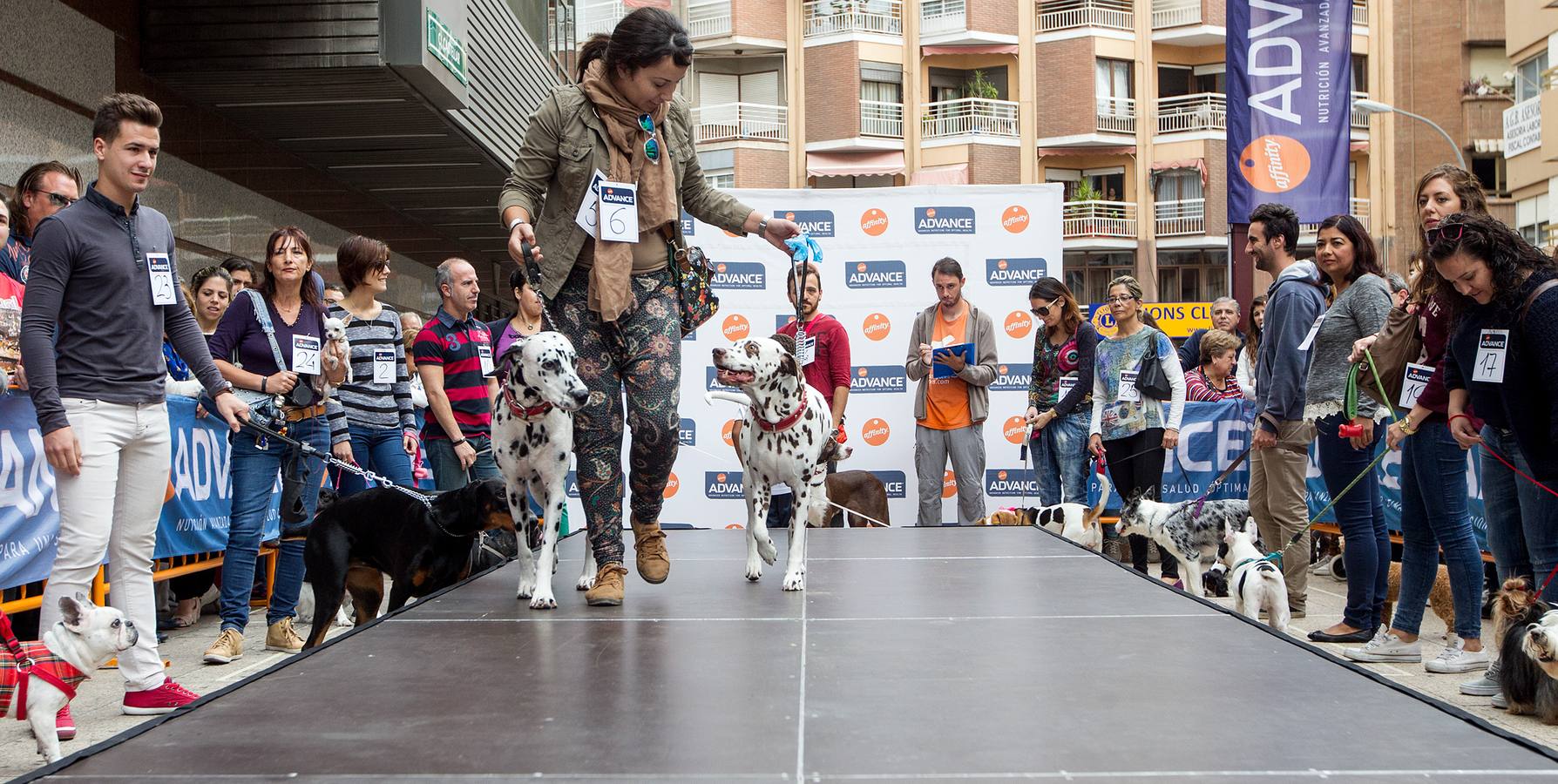 Desfile canino benéfico en El Corte Inglés