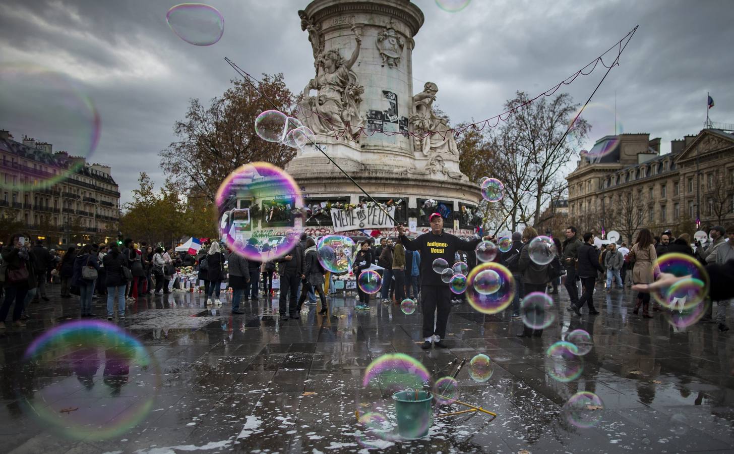 Las mejores fotos del día