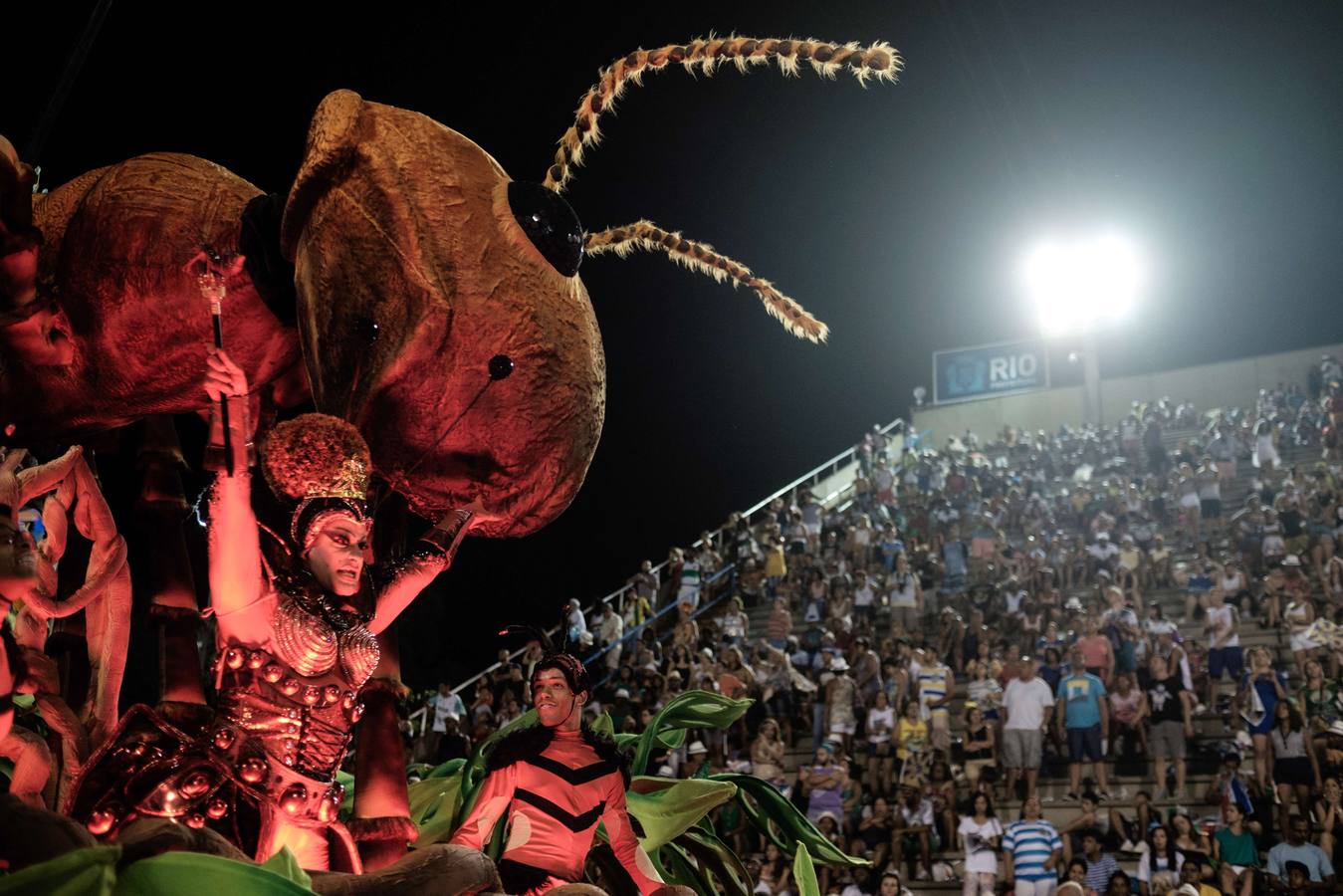 El Carnaval de Río al son del mosquito