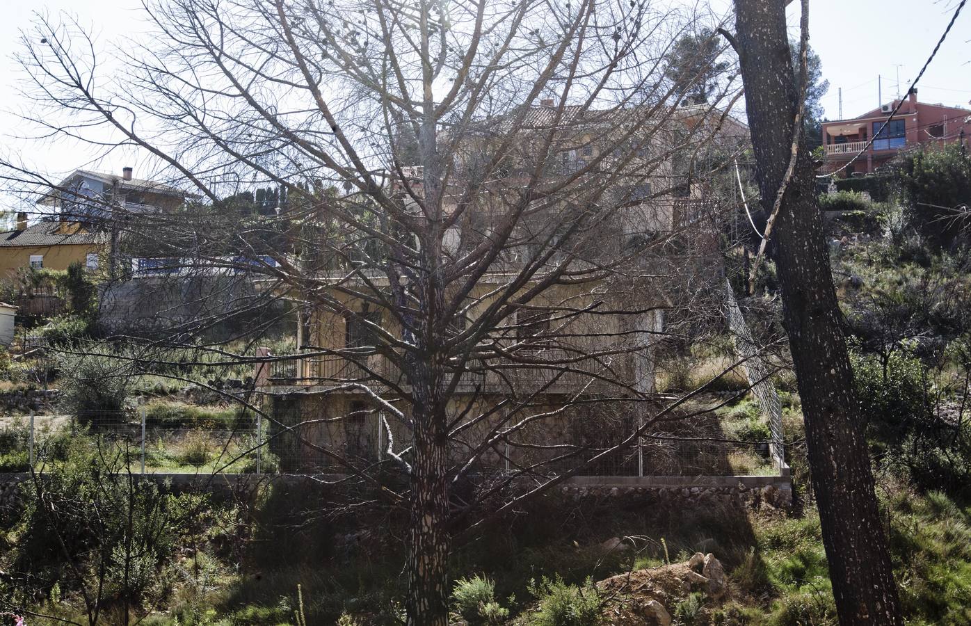 Aspecto que presenta la urbanización Sierra Perentxiza de Godelleta, en imágenes