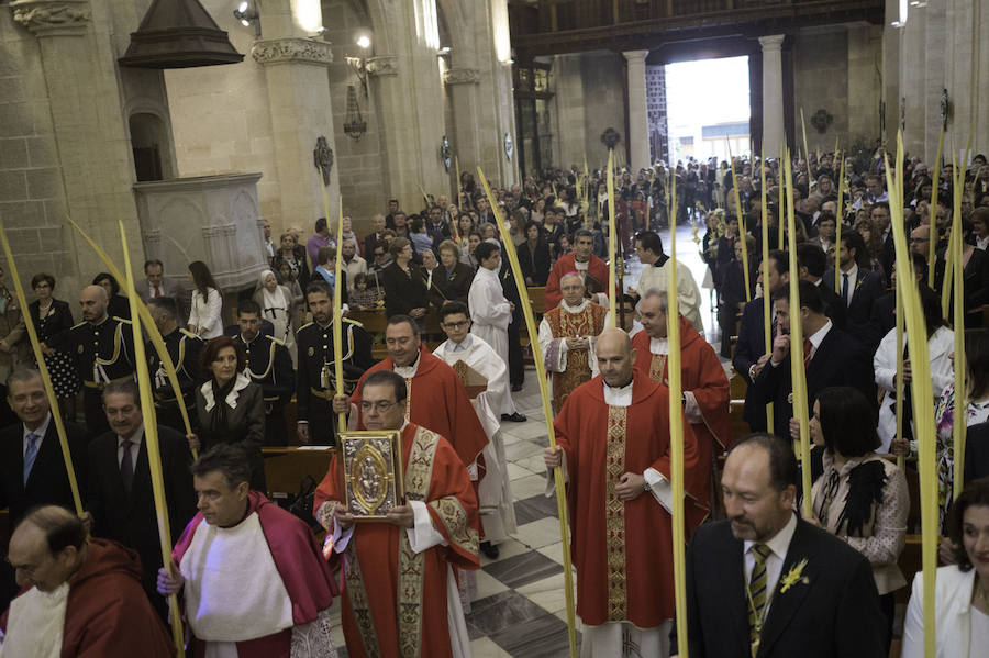 Domingo de Ramos en Orihuela