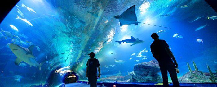 Lugares que visitar al menos una vez en la vida en Valencia