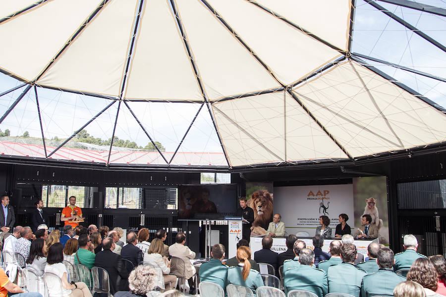 La Reina Sofía inaugura las instalaciones de felinos de Primadomus en Villena