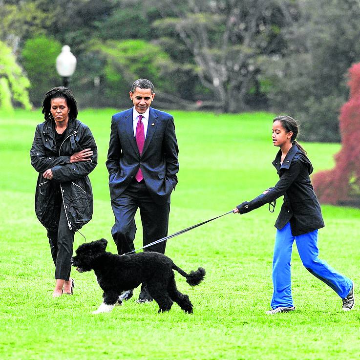 Fotos de las mascotas de palacio