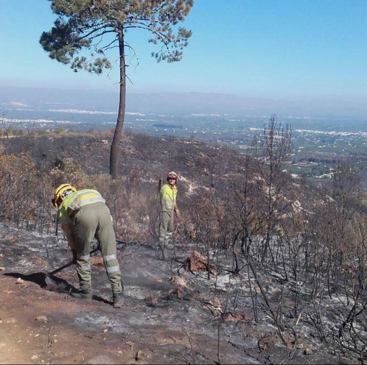 Fotos del incendio de Carcaixent (sábado 18 de junio)