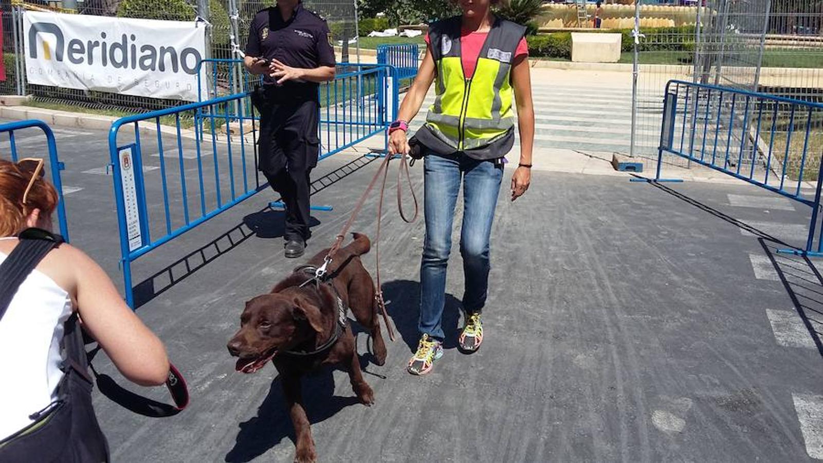 Máxima seguridad en la plaza de los Luceros