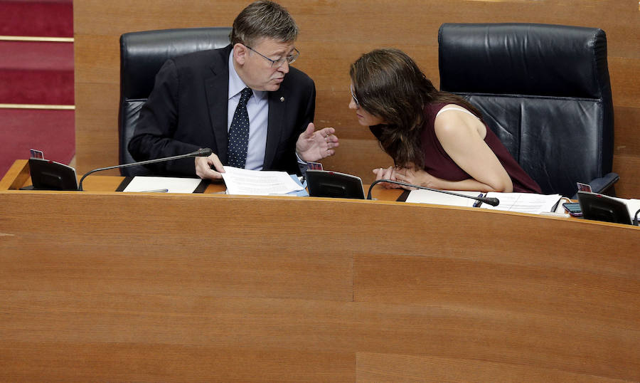 Pleno en el Ayuntamiento de Alicante