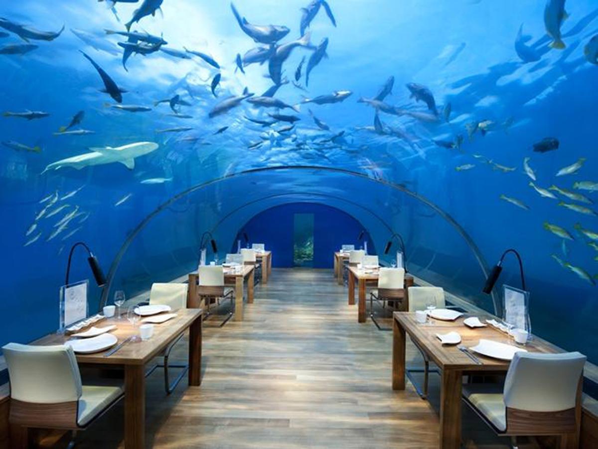 Fotos del restaurante raro Ithaa Undersea Restaurant