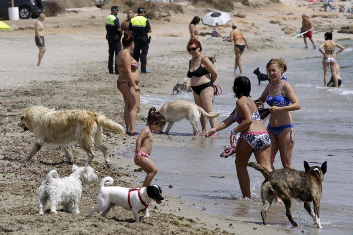 Una playa de cine