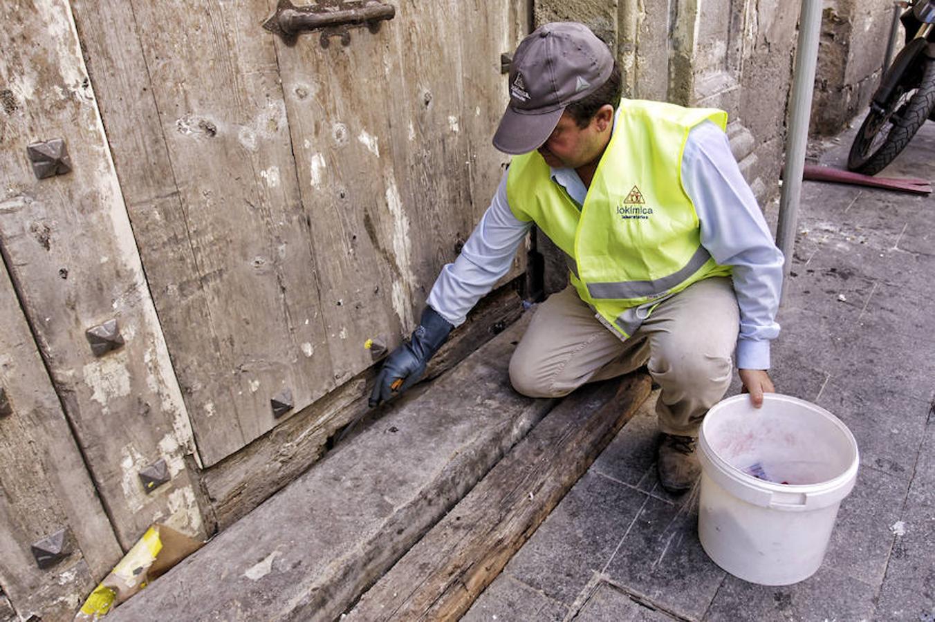 Limpieza y comprobación de los focos de ratas en el casco antiguo de Alicante