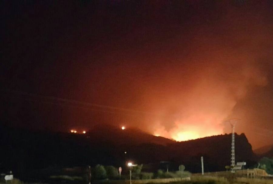 Fotos del incendio forestal en Bolulla