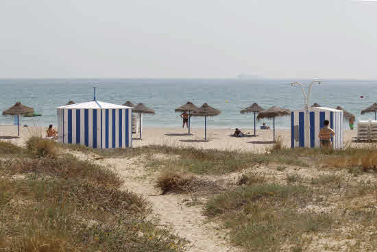 Fotos de la playa de El Saler