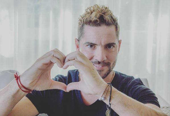 Fotos de David Bisbal