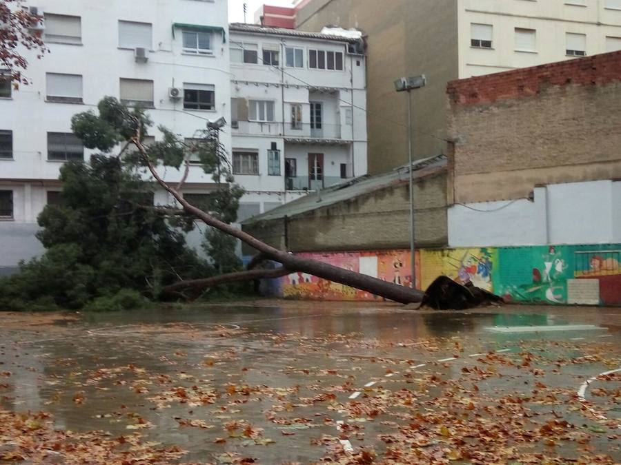 Fotos de incidencias en los colegios de Valencia