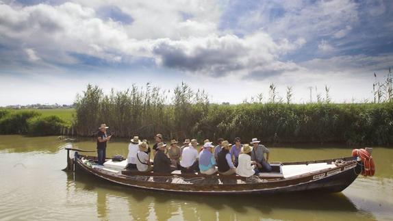 ¿Qué puedes hacer y ver en un día en l'Albufera de Valencia?